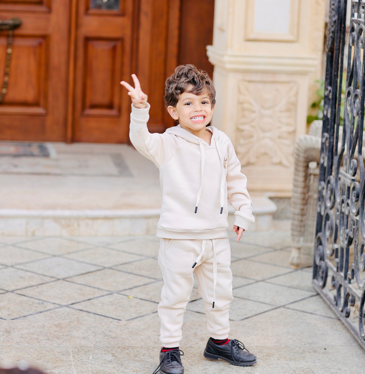 Toddler Hoodie (HOODIE ONLY)
